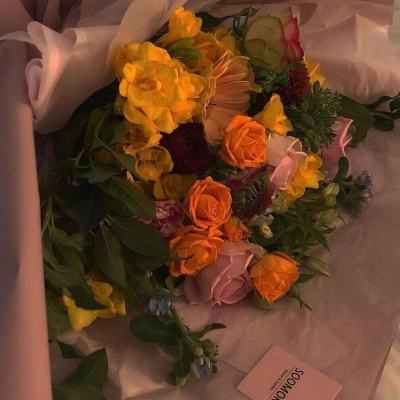 必博app下载地址截图